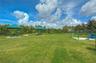 Dog park.