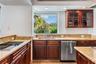 LUSH tropical landscape from kitchen window
