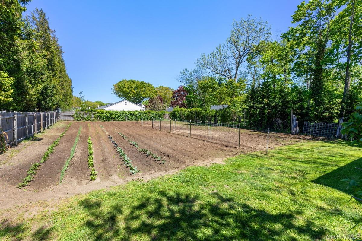 Planting field