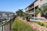 Backyard - 231 Midway Island, Clearwater FL 33767