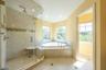 Master Bath Shower Tub