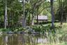 Pond