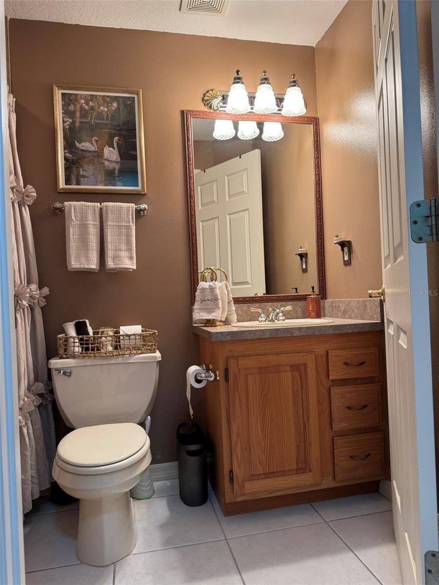 Guest bathroom