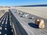 stunning sandy beaches