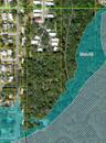X and AE flood zones