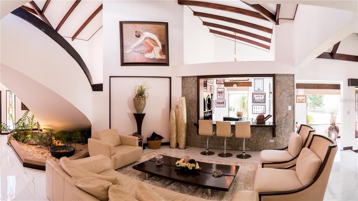 Living Room and Bar