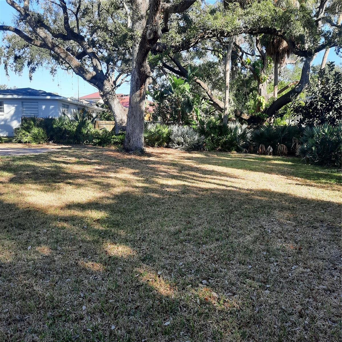 Rear yard facing east