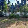 Landscaping buffer along rear fence