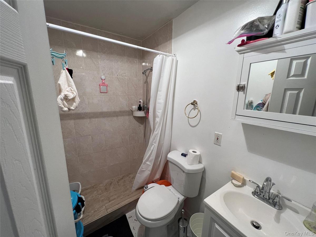 Primary unit hall bathroom