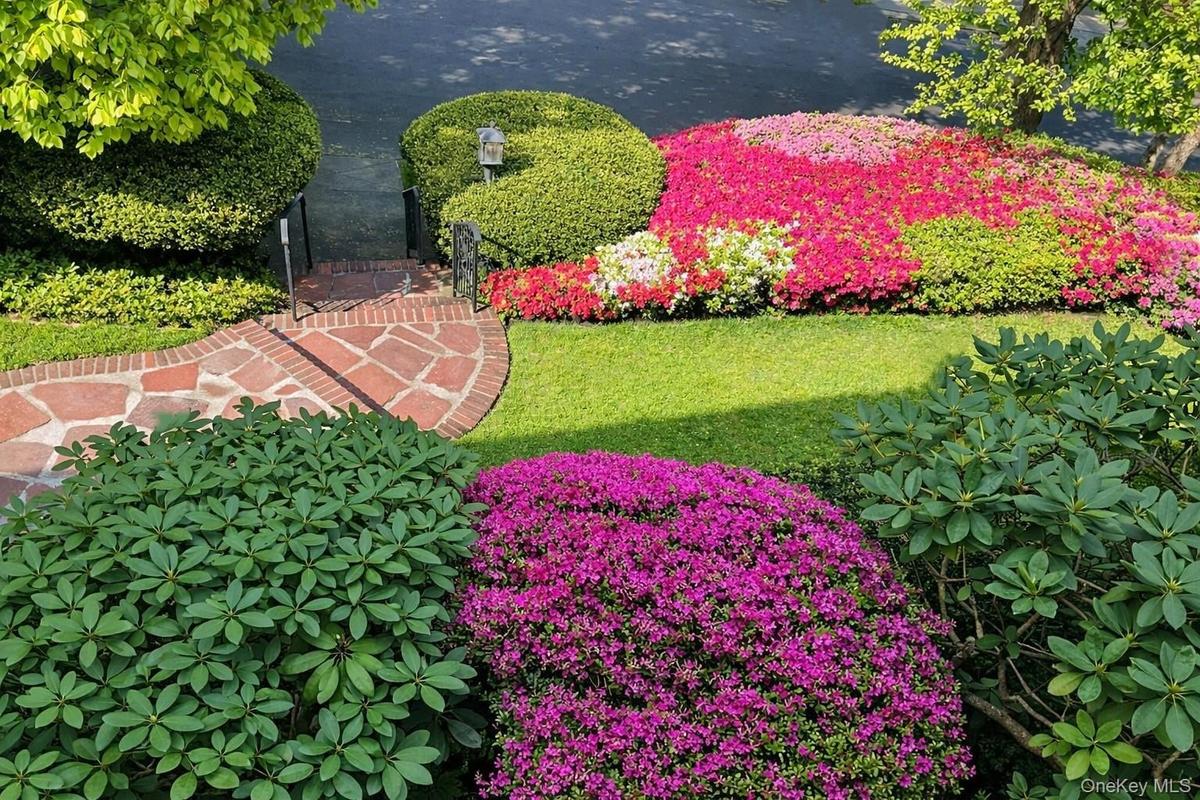 Front Yard 2