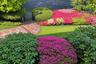Front Yard 2