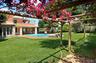 Villa to rent in Vouliagmeni - EXTERIOR 14