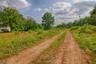 9.22 AC with 3 buildable lots