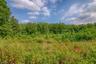 9.22 AC with 3 buildable lots
