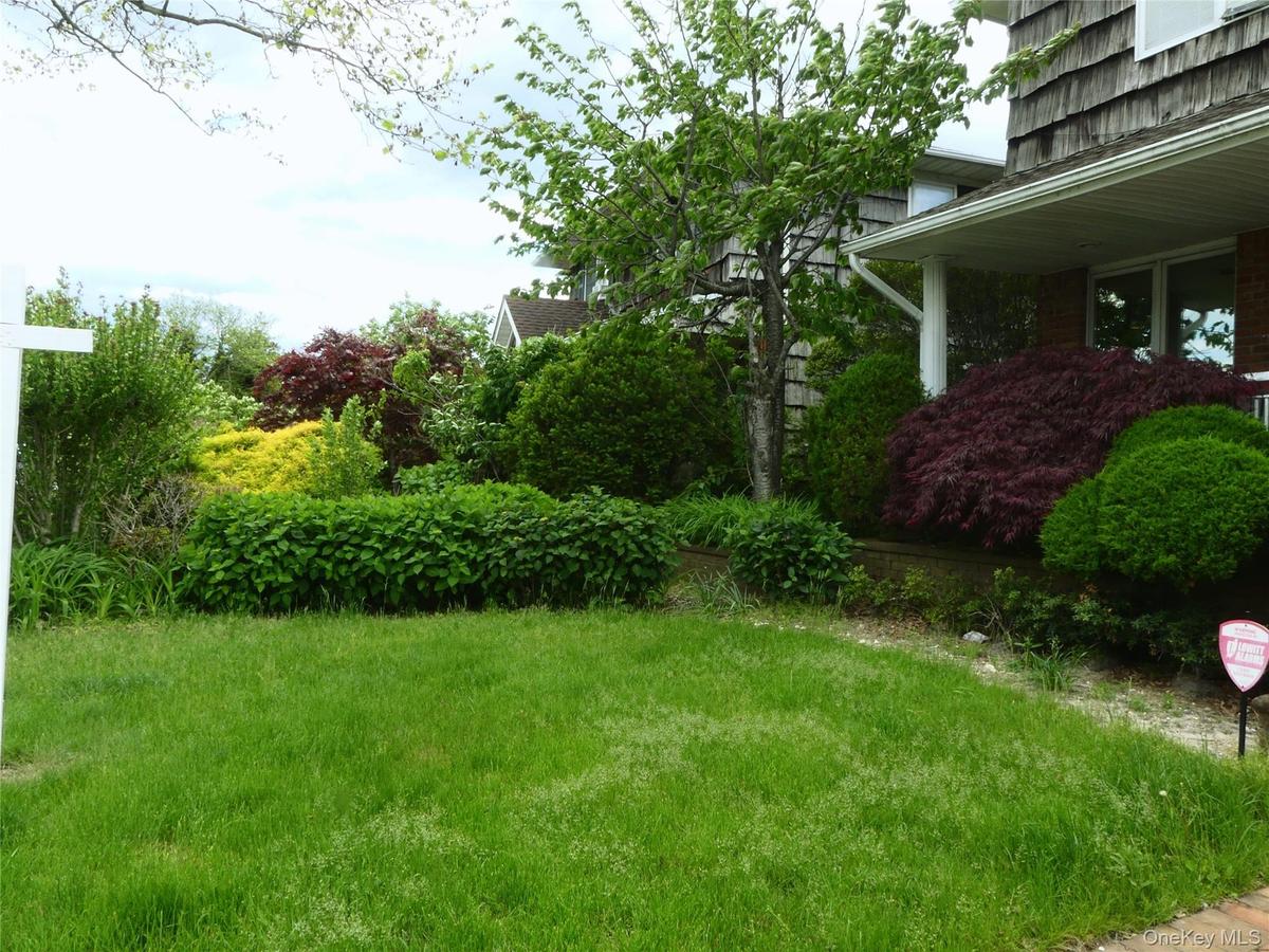 front yard