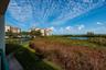 Marsh with Boca Ciega Bay beyond