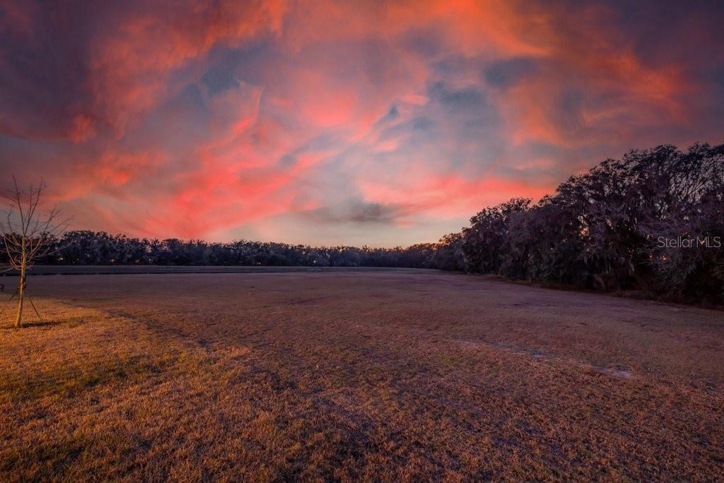 PICTURESQUE SUNSETS