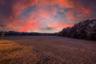 PICTURESQUE SUNSETS