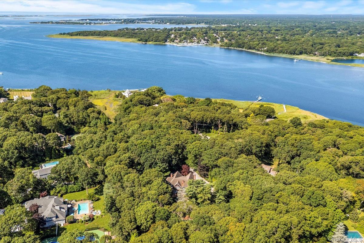 Aerial view of property's location with a forest and a large body of water