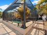 Low-maintenance paved backyard area
