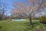 Expansive Lawn and Pool