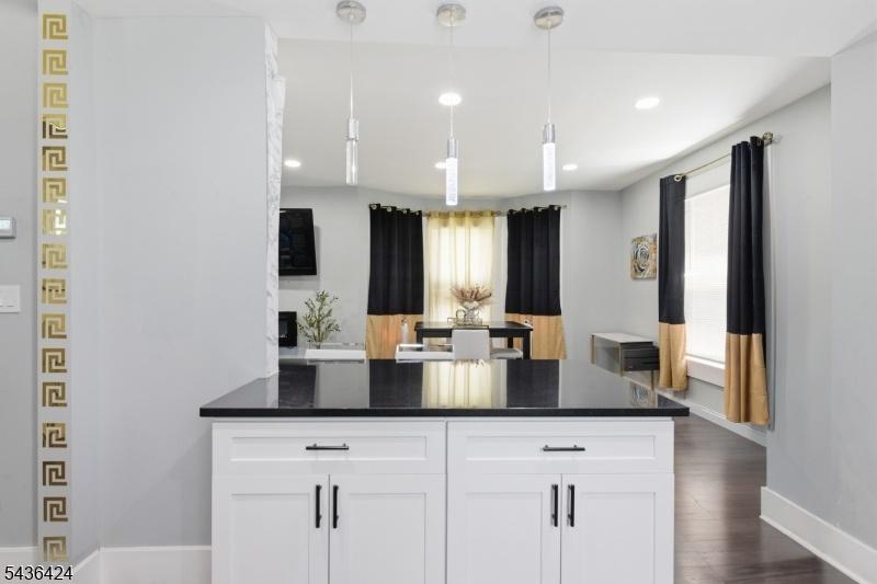 Gourmet Designer Kitchen