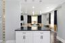 Gourmet Designer Kitchen