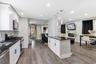Gourmet Designer Kitchen