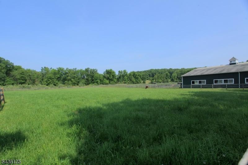 Open field