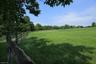 Partially wooded