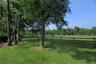 Lush fields
