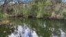 Swimmable Pond