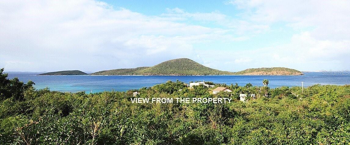 View from the Property