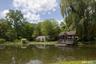 Pond