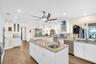 Entertainers Dream Kitchen