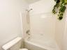 Hall Bathroom Tub