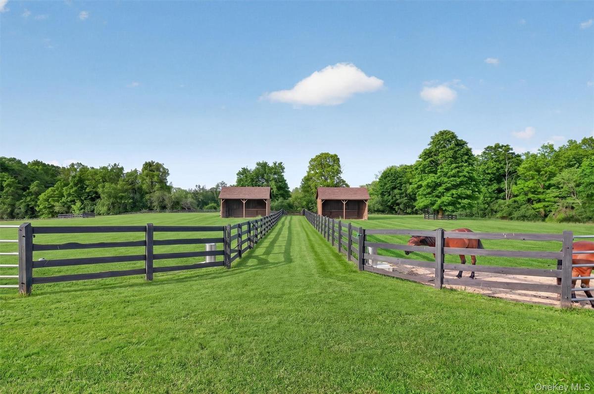 Large grass paddocks with 4 board fencing, deep run-in sheds and automatic waterers provide the best for your horses