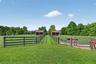 Large grass paddocks with 4 board fencing, deep run-in sheds and automatic waterers provide the best for your horses