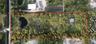 2150/2140 C Rd 10 acres
