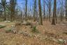 Property 1.67 acres