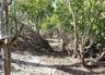 Path between Lagoon and Beachfront