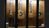 Musician's Paradise