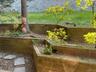 Terraced. No need to bend.