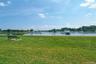 Harbor Island Park, Beach and Marina down the street! away.