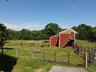 Barn and paddocks