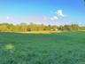 Meadows