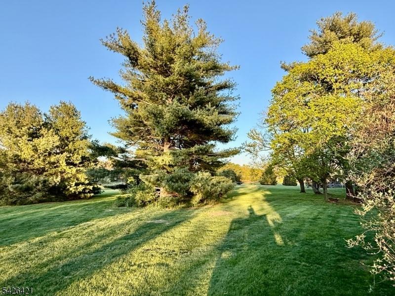View from Deck