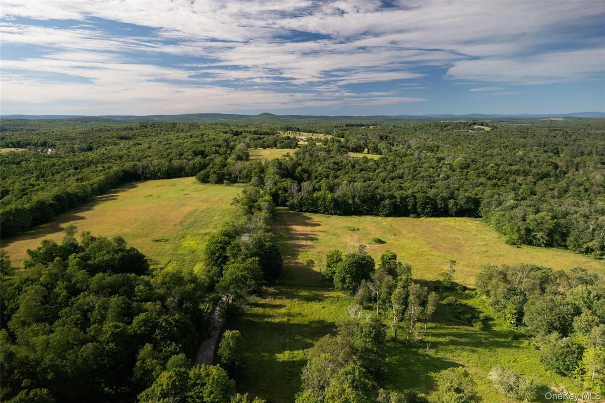 Aerial view of property's location with a forest