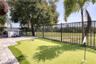 Backyard View