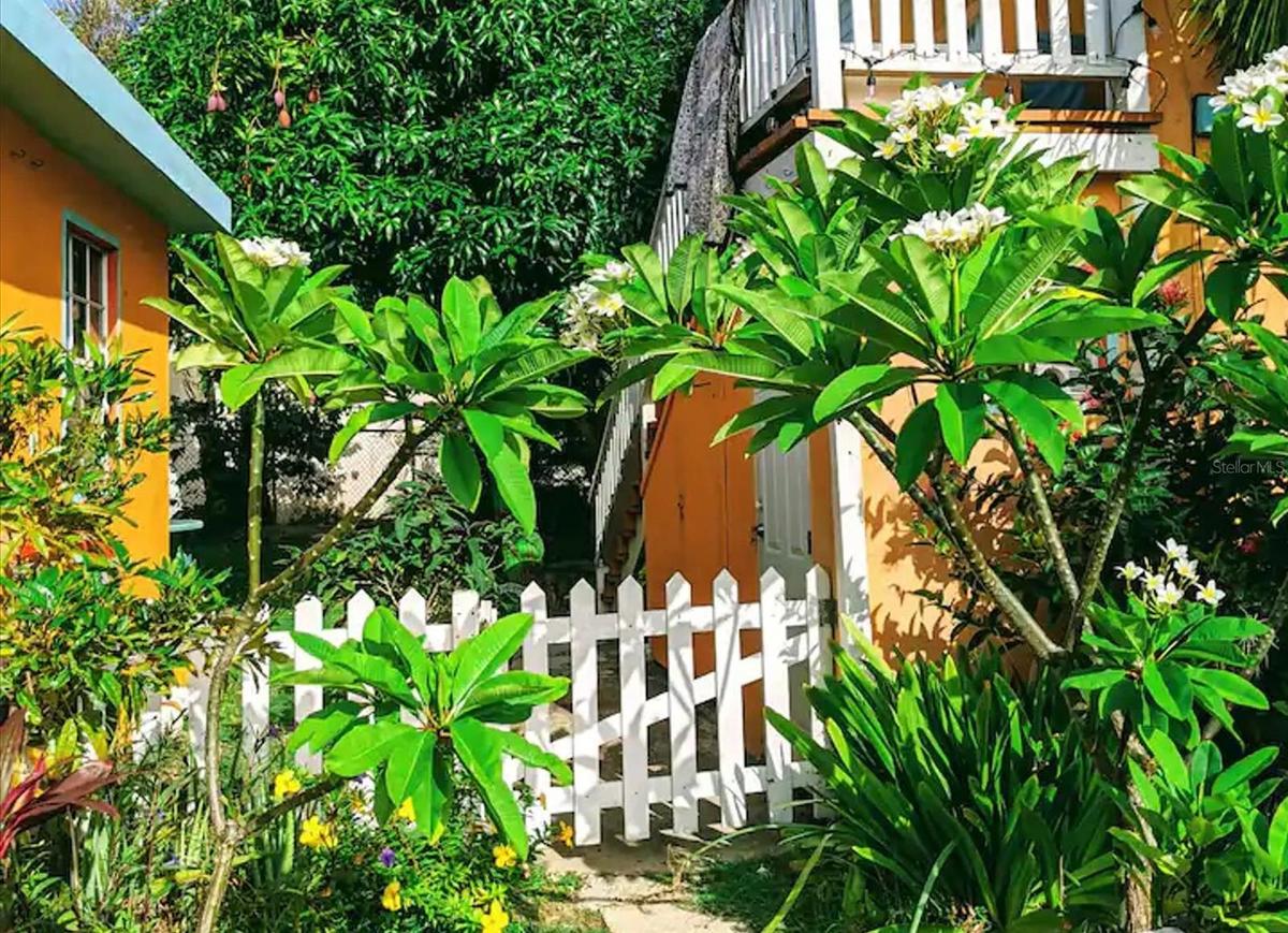 Casa Pana Foilage